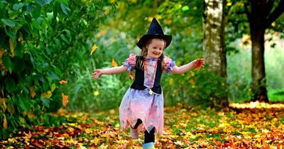 Winners of our autumn photo competition announced