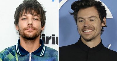 Louis Tomlinson praises 'brother' Harry Styles but slams 'weird' fanfiction