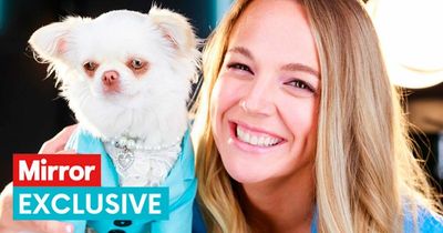 'I'm single and I won't date a man unless my dogs approve of them first'​​