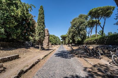 Appian Way: How to explore Rome’s original superhighway by bike