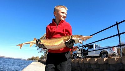 Kash Gustafson, 8, appears to have caught the Illinois and world record shovelnose sturgeon