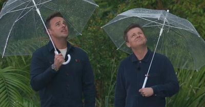 ITV I'm A Celebrity viewers make same quip about Ant and Dec as former star fuels rain theory