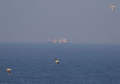 Russia links extension of Black Sea deal to freeing its grain and fertiliser exports