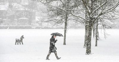 Glasgow white Christmas odds as city named most likely in the UK for snow this festive period
