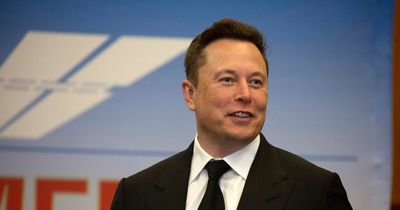 TikTok 'time traveller' claims he predicted Elon Musk would become Twitter CEO as well as his next moves