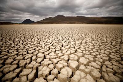 African insurers take up climate change fight with $14 billion pledge