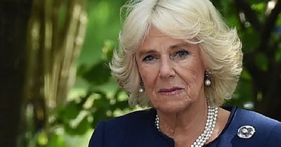 Camilla’s eight-word comeback when Diana confronted her over Charles affair baffled staff
