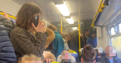 Carnage erupts on jam-packed train as passengers faint and puke on 'journey from hell'