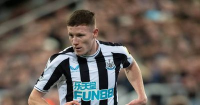 Newcastle United supporters urge Eddie Howe to make changes against Crystal Palace