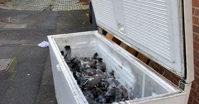 Huge freezer full of dead pigeons dumped on Darlington street as 'horrified' council staff appeal for answers