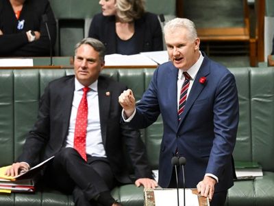 Labor workplace changes pass lower house