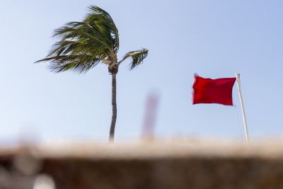 Florida braces for major storm after Nicole strengthens into a hurricane