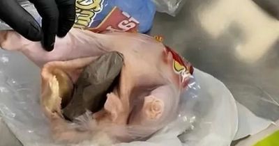 Gun found stuffed into raw chicken in failed attempt to smuggle weapon onto plane