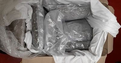 Teenager arrested as €110,000 worth of herbal cannabis found in Santry raid targeting crime gang