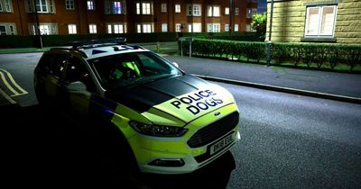 Armed police and helicopter descend on street after 'disturbance'