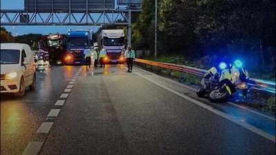 Police officer injured during Just Stop Oil protests on M25