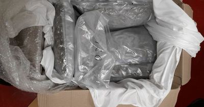 Teenager arrested after €110,000 worth of cannabis seized by Revenue in Santry