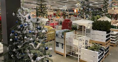 IKEA issues devastating blow to shoppers about its annual £9 Christmas tree offer