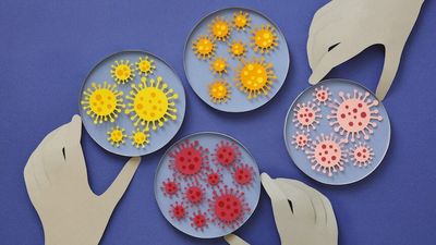 What do we know about new COVID-19 Omicron subvariants XBB and BQ.1 spreading in Australia?