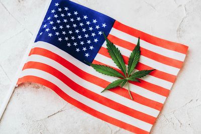 Five states voted on adult-use marijuana