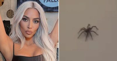 Kim Kardashian freaks out and screams after finding 'tarantula' in her luxury mansion