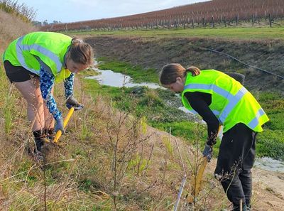 From sprinklers to sheep: New emissions tools help firms flex on the world stage