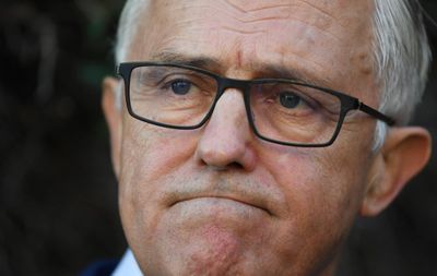 AFP finds nothing to see here in illegal superspreading of Turnbull book