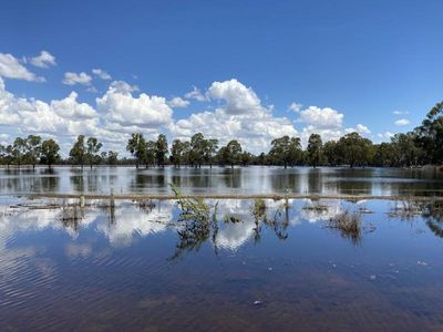 Plans to move contentious Vic flood levee