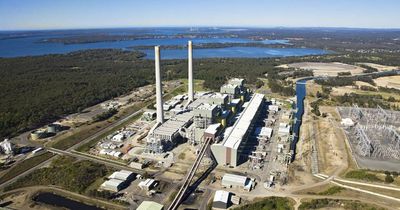 Eraring, Kooragang hydrogen embroiled in Origin takeover bid