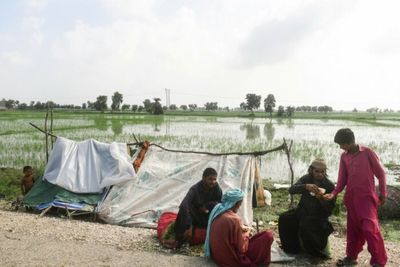 Countries diverge on future climate finance at COP27