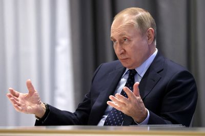 Russia’s Putin to skip G20