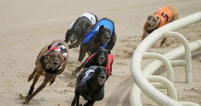 No ban for greyhound racing after animal welfare boss visits last Scots racing track
