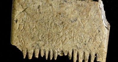 Oldest known written sentence giving head lice advice is discovered