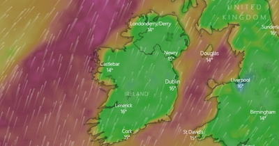 Met Eireann forecasts blustery weather for Dublin as wind warning in place for parts of Ireland