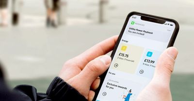 Energy company starts paying customers not to use power between 5pm and 10.30pm