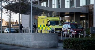 Cyclist, 20s, in critical condition after horror crash with lorry in Dublin