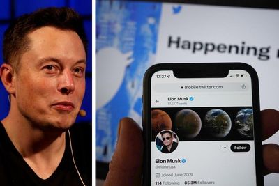 Scams already rife after Elon Musk rolls out paid 'Twitter Blue' verification