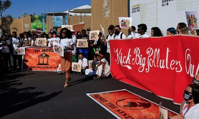 ‘Explosion’ in number of fossil fuel lobbyists at Cop27 climate summit