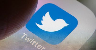 Twitter layoffs: Firm accused of 'actively ignoring Irish labour laws'