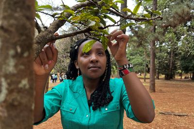 Young Kenyan tree activist speaks up for Africa at COP27