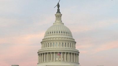 US midterm elections: Democrats fare better than expected