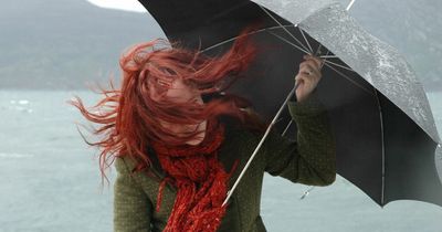 Edinburgh weather: Met Office issues yellow warning as strong winds set to hit city