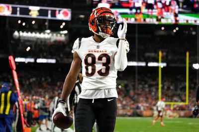 Bengals cling to top 10 spot in power rankings during bye week