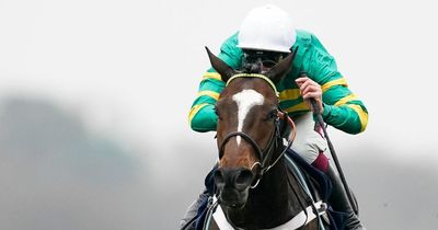 Paddy Power pay out on Jonbon winning at 2023 Cheltenham Festival before he even makes seasonal debut