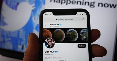 Twitter's new subscription service goes live in UK, with users paying £6.99 a month
