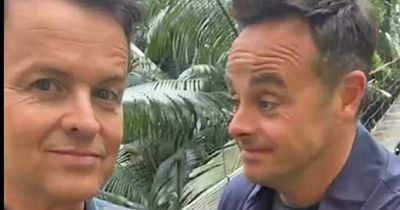 ITV I'm A Celebrity's Ant and Dec tease 'new arrivals' as they share what really happens in between live parts