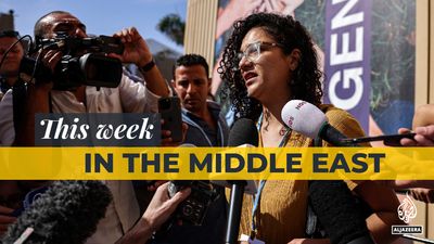 Middle East round-up: Alaa Abd el-Fattah, Egypt and COP27