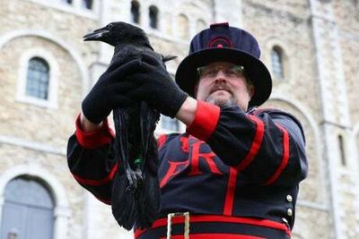 The Tower of London ravens have been locked down so they don’t get avian flu