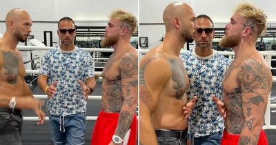 Jake Paul and Andrew Tate face off ahead of potential boxing fight