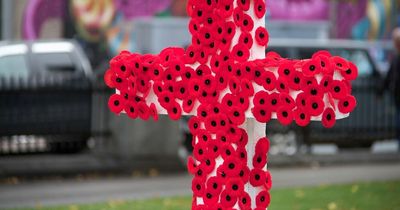 The history of a Remembrance Day poppy and why we wear one in November